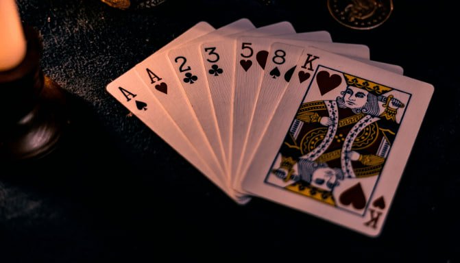 9d bet com login