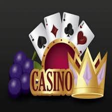 9d bet com login